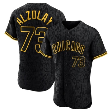 Authentic Adbert Alzolay Men's Chicago Cubs Black Snake Skin City Jersey