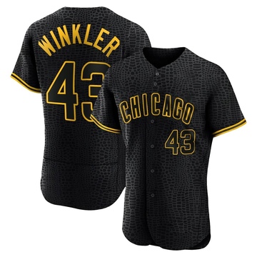 Authentic Dan Winkler Men's Chicago Cubs Black Snake Skin City Jersey