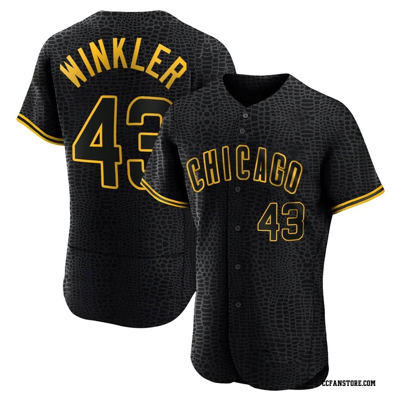 Authentic Dan Winkler Men's Chicago Cubs Black Snake Skin City Jersey