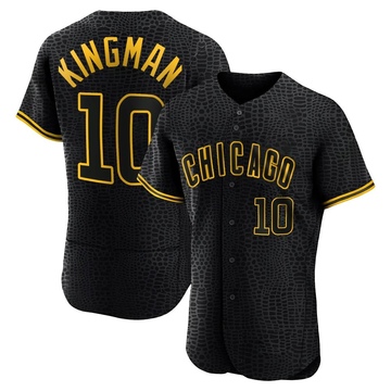 Authentic Dave Kingman Men's Chicago Cubs Black Snake Skin City Jersey