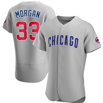 Authentic Eli Morgan Men's Chicago Cubs Gray Road Jersey