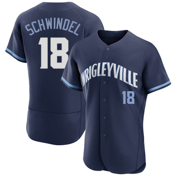 Authentic Frank Schwindel Men's Chicago Cubs Navy 2021 City Connect Jersey