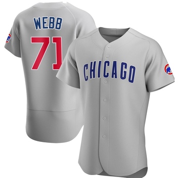 Authentic Jacob Webb Men's Chicago Cubs Gray Road Jersey