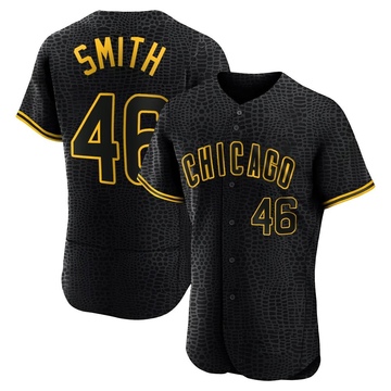 Authentic Lee Smith Men's Chicago Cubs Black Snake Skin City Jersey