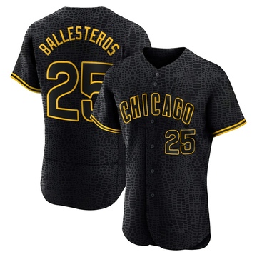 Authentic Moises Ballesteros Men's Chicago Cubs Black Snake Skin City Jersey