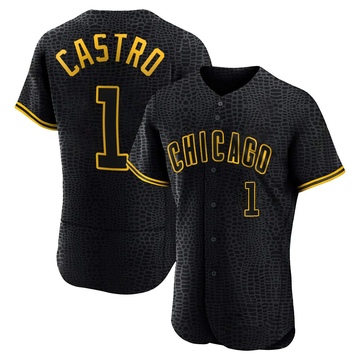 Authentic Willi Castro Men's Chicago Cubs Black Snake Skin City Jersey