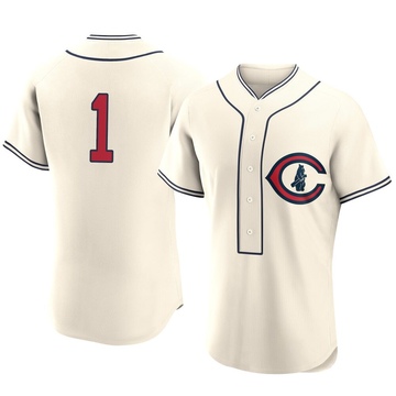 Authentic Willi Castro Men's Chicago Cubs Cream 2022 Field Of Dreams Jersey