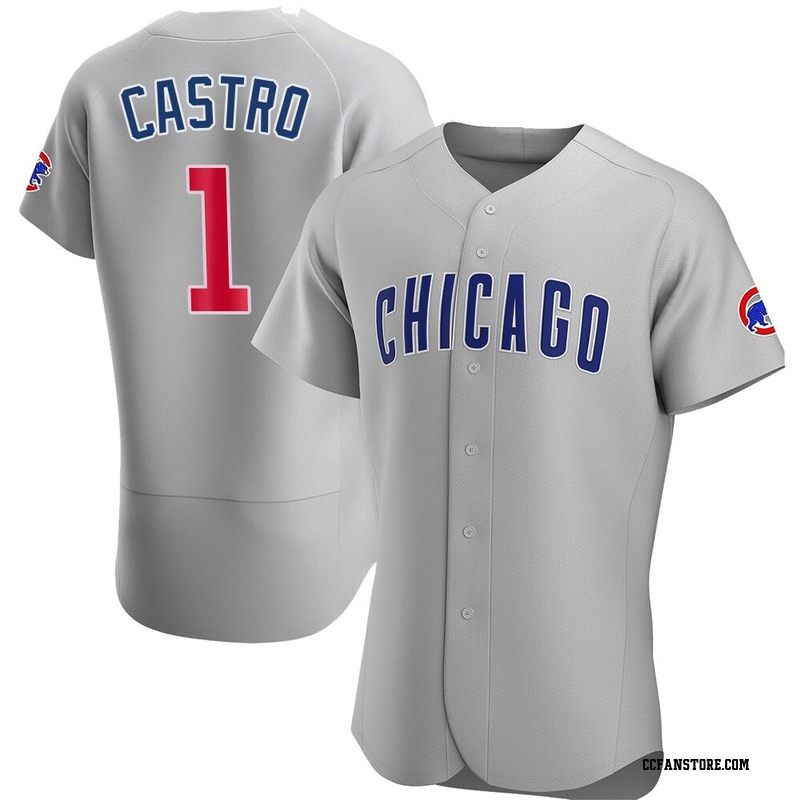 Authentic Willi Castro Men's Chicago Cubs Gray Road Jersey
