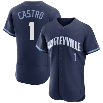 Authentic Willi Castro Men's Chicago Cubs Navy 2021 City Connect Jersey