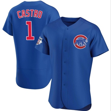 Authentic Willi Castro Men's Chicago Cubs Royal Alternate Jersey