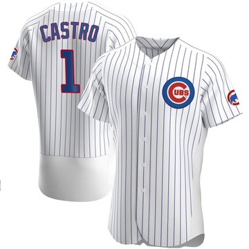 Authentic Willi Castro Men's Chicago Cubs White Home Jersey