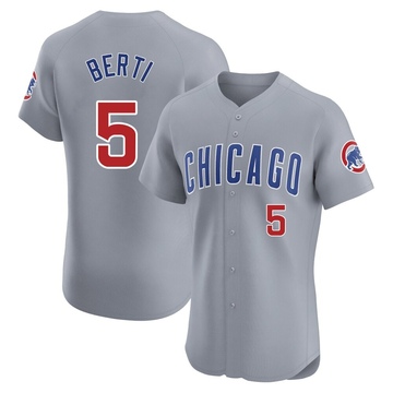 Elite Jon Berti Men's Chicago Cubs Gray Road Jersey