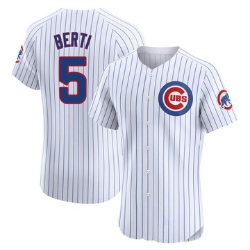 Elite Jon Berti Men's Chicago Cubs White Home Jersey