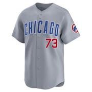 Limited Adbert Alzolay Youth Chicago Cubs Gray Road Jersey