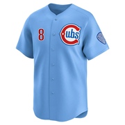 Limited Andre Dawson Youth Chicago Cubs Royal 2nd Alternate Jersey