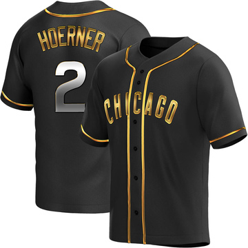 Replica Nico Hoerner Youth Chicago Cubs Black Golden Alternate Jersey
