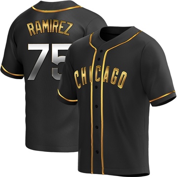 Replica Pedro Ramirez Youth Chicago Cubs Black Golden Alternate Jersey