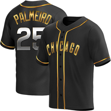 Replica Rafael Palmeiro Youth Chicago Cubs Black Golden Alternate Jersey