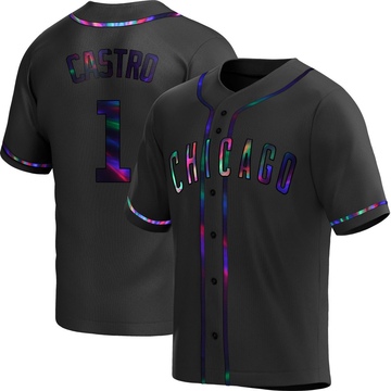 Replica Willi Castro Youth Chicago Cubs Black Holographic Alternate Jersey
