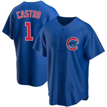 Replica Willi Castro Youth Chicago Cubs Royal Alternate Jersey